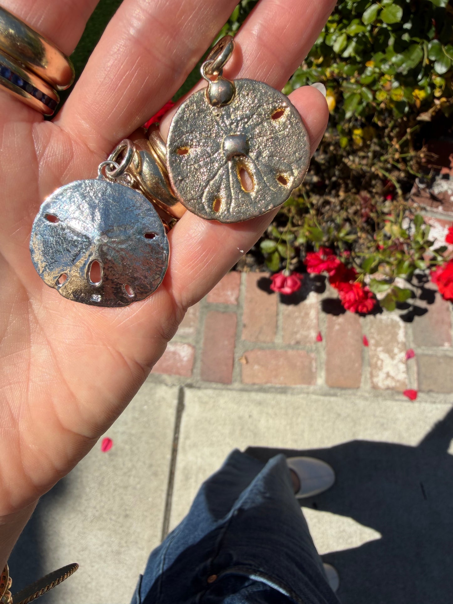 The Honeymoon Sand Dollar