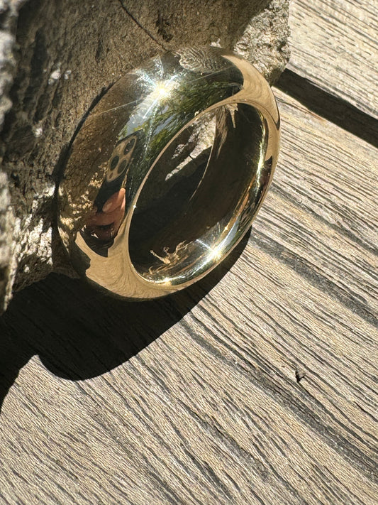 Double Major (Large)